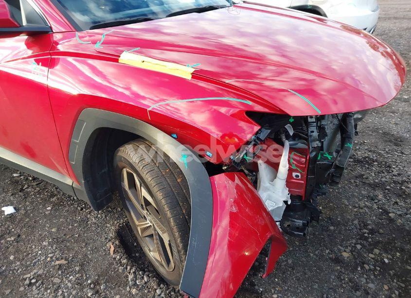 Photo 19 of 2023 Hyundai Tucson SEL (VIN 5NMJFCAE7PH254989)