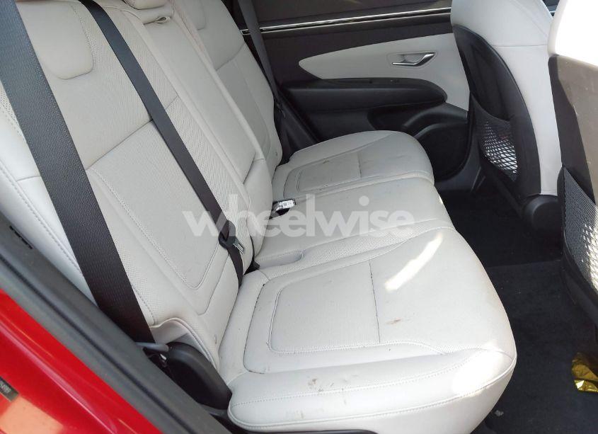 Photo 8 of 2023 Hyundai Tucson SEL (VIN 5NMJFCAE7PH254989)