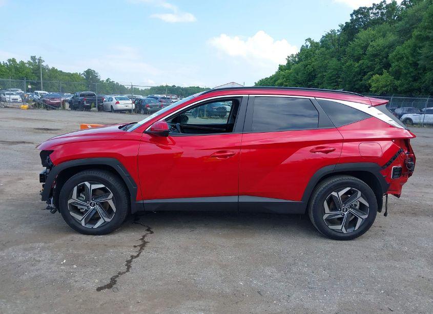 Photo 14 of 2023 Hyundai Tucson SEL (VIN 5NMJFCAE8PH222052)