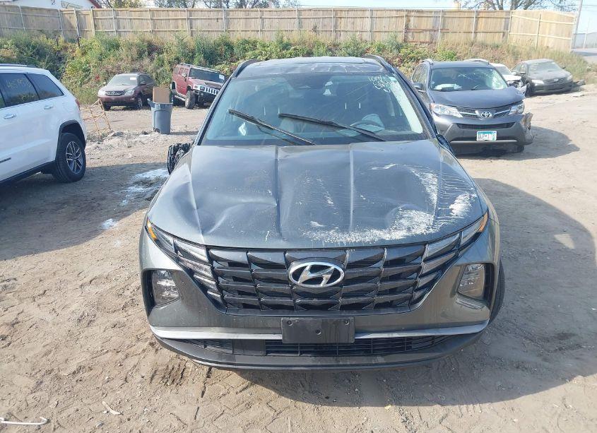 Photo 12 of 2023 Hyundai Tucson SEL (VIN 5NMJFCAE8PH236775)