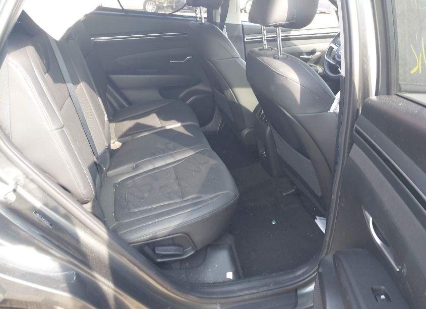 Photo 8 of 2023 Hyundai Tucson SEL (VIN 5NMJFCAE8PH236775)