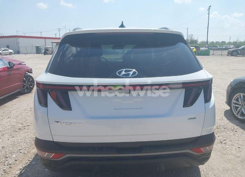 Photo 17 of 2023 Hyundai Tucson SEL (VIN 5NMJFCAE8PH272112)