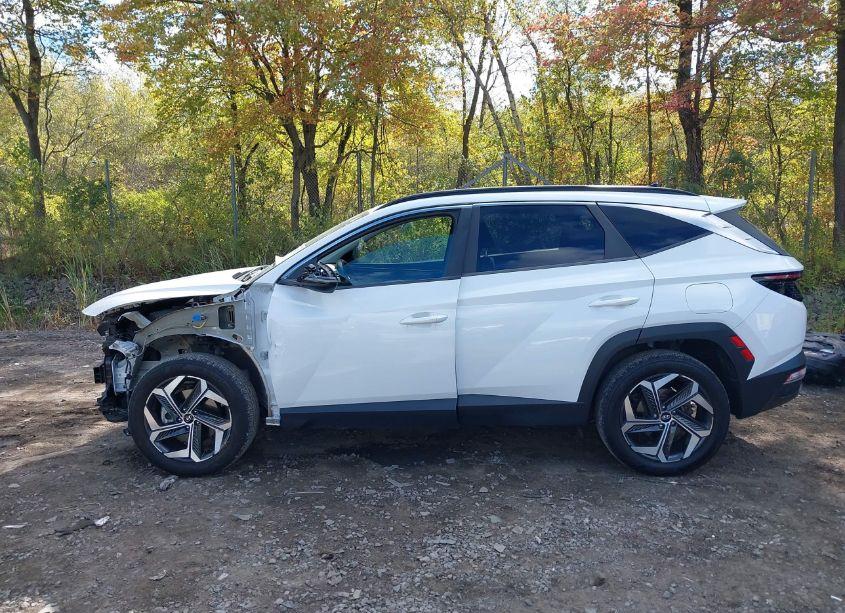 Photo 14 of 2022 Hyundai Tucson SEL (VIN 5NMJFCAE9NH018826)