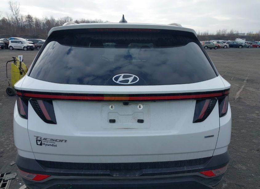 Photo 16 of 2022 Hyundai Tucson SEL (VIN 5NMJFCAE9NH038204)