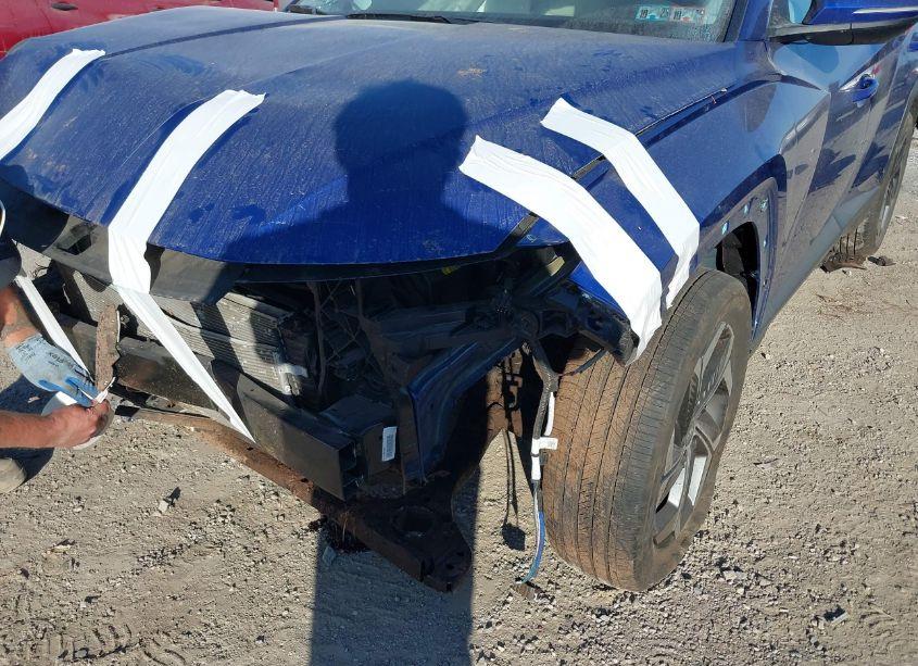 Photo 6 of 2023 Hyundai Tucson SEL (VIN 5NMJFCAE9PH166512)