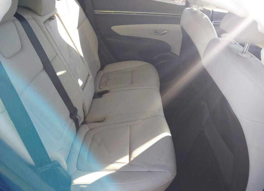 Photo 8 of 2023 Hyundai Tucson SEL (VIN 5NMJFCAE9PH166512)