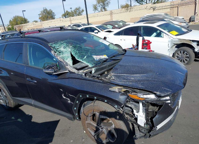 Photo 12 of 2023 Hyundai Tucson SEL (VIN 5NMJFCAE9PH169751)