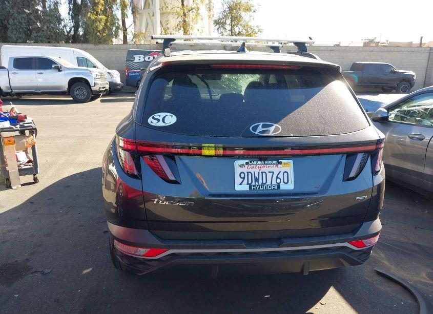 Photo 17 of 2023 Hyundai Tucson SEL (VIN 5NMJFCAE9PH169751)