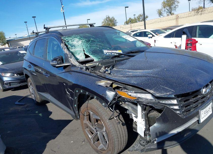 Photo 6 of 2023 Hyundai Tucson SEL (VIN 5NMJFCAE9PH169751)