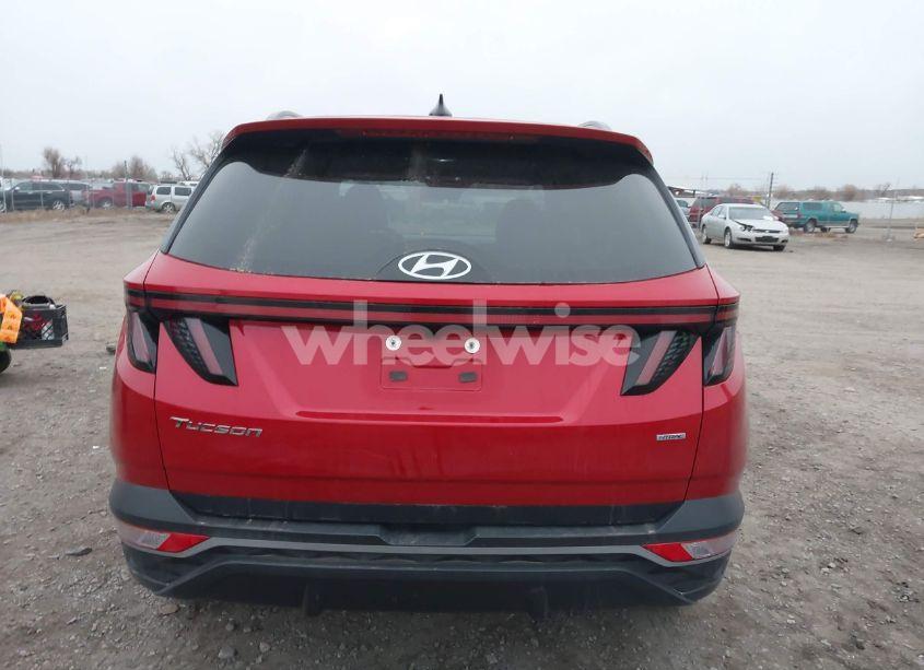 Photo 17 of 2023 Hyundai Tucson SEL (VIN 5NMJFCAE9PH260082)