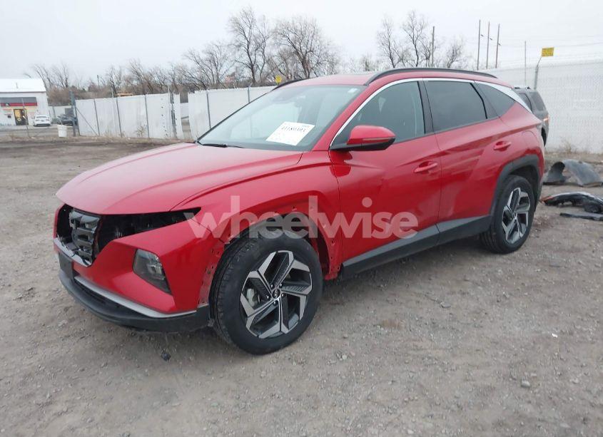 Photo 2 of 2023 Hyundai Tucson SEL (VIN 5NMJFCAE9PH260082)