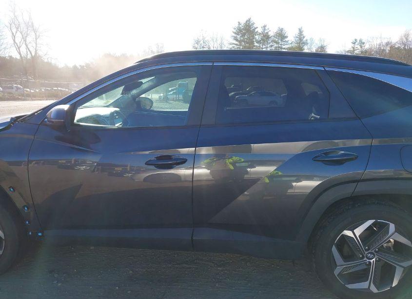 Photo 14 of 2023 Hyundai Tucson SEL (VIN 5NMJFCAE9PH276556)