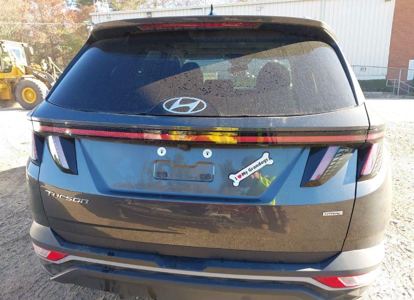 Photo 16 of 2023 Hyundai Tucson SEL (VIN 5NMJFCAE9PH276556)