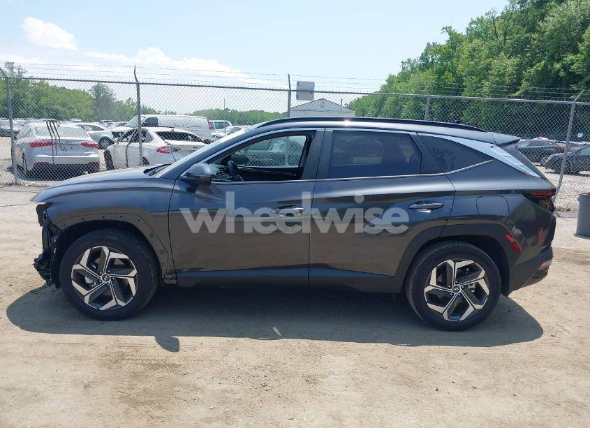 Photo 15 of 2023 Hyundai Tucson SEL (VIN 5NMJFCAEXPH241119)