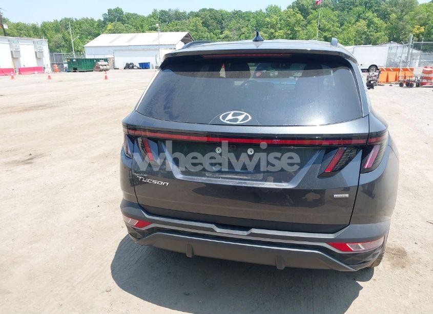 Photo 17 of 2023 Hyundai Tucson SEL (VIN 5NMJFCAEXPH241119)