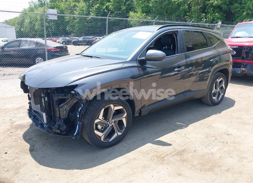 Photo 2 of 2023 Hyundai Tucson SEL (VIN 5NMJFCAEXPH241119)