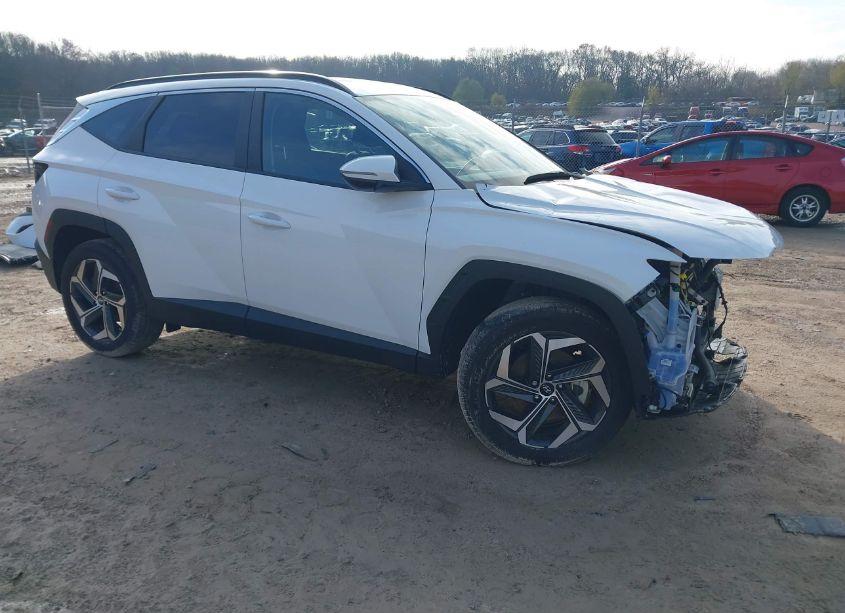 2023 Hyundai Tucson SEL (VIN 5NMJFCAEXPH245817) main photo