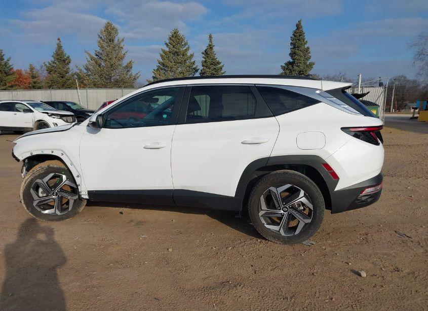 Photo 15 of 2023 Hyundai Tucson SEL (VIN 5NMJFCAEXPH245817)