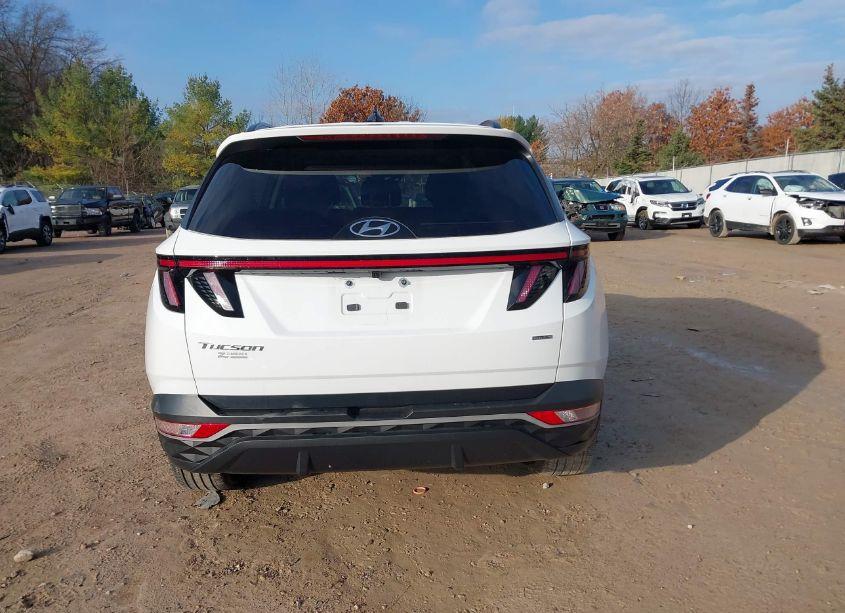 Photo 17 of 2023 Hyundai Tucson SEL (VIN 5NMJFCAEXPH245817)