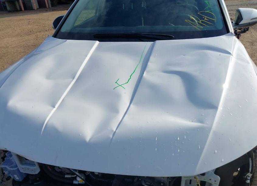 Photo 18 of 2023 Hyundai Tucson SEL (VIN 5NMJFCAEXPH245817)