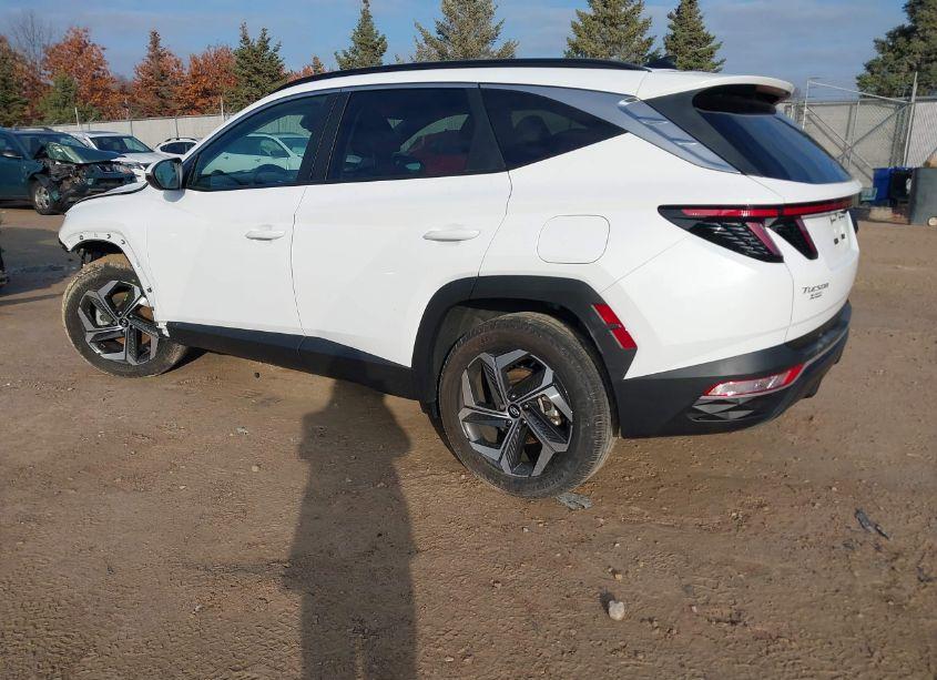 Photo 3 of 2023 Hyundai Tucson SEL (VIN 5NMJFCAEXPH245817)