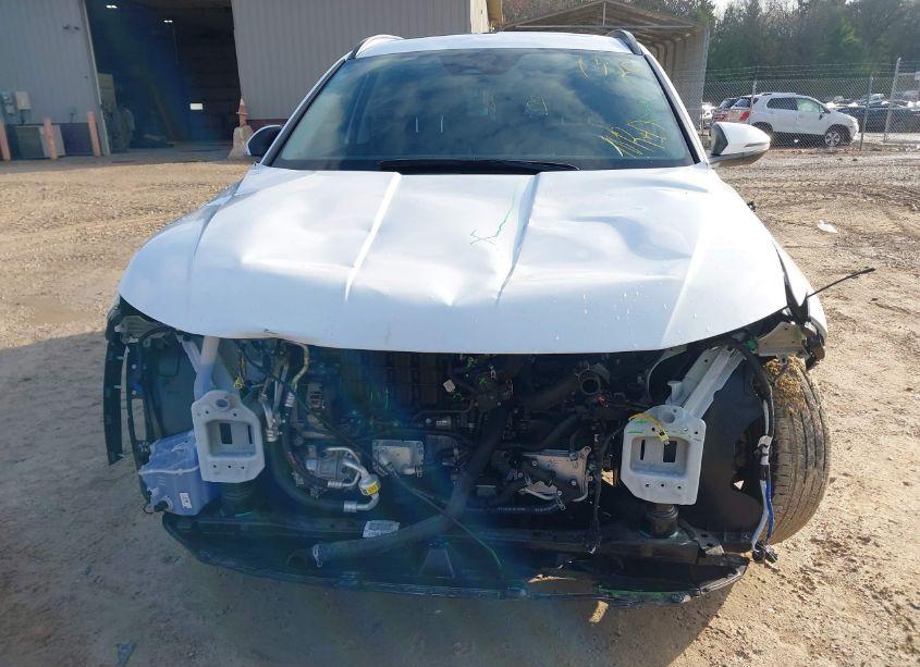 Photo 6 of 2023 Hyundai Tucson SEL (VIN 5NMJFCAEXPH245817)