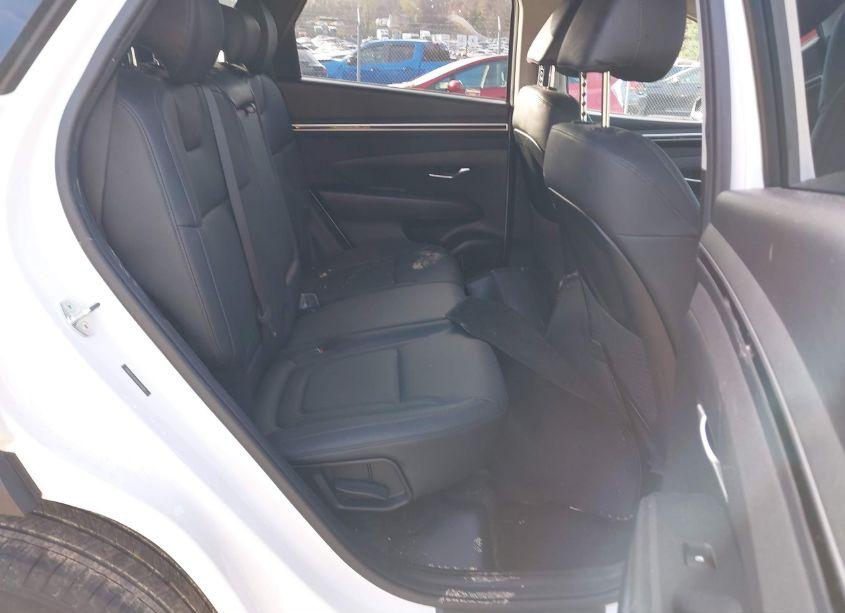 Photo 8 of 2023 Hyundai Tucson SEL (VIN 5NMJFCAEXPH245817)