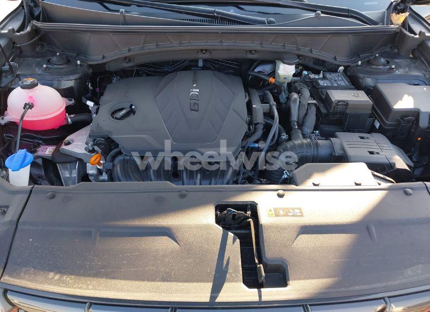 Photo 10 of 2024 Hyundai Tucson SEL (VIN 5NMJFCDE0RH317610)