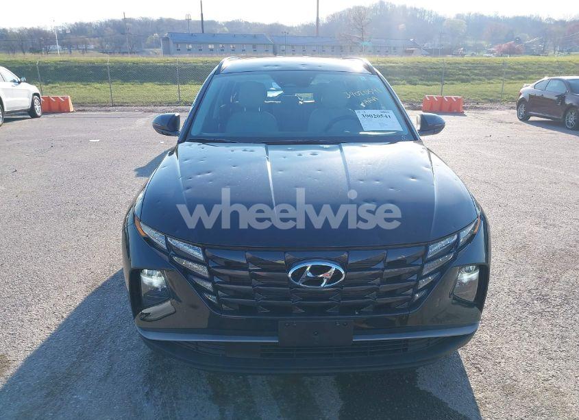 Photo 12 of 2024 Hyundai Tucson SEL (VIN 5NMJFCDE0RH317610)