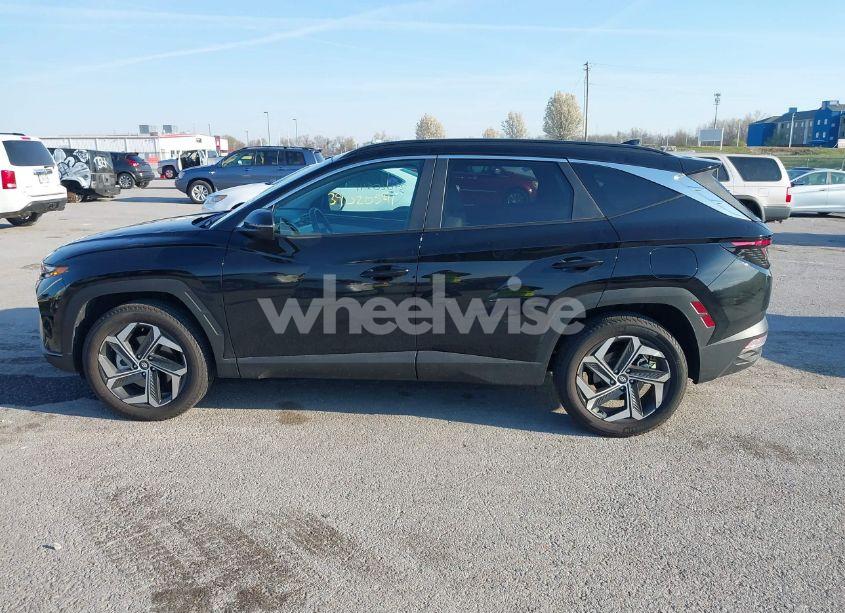 Photo 14 of 2024 Hyundai Tucson SEL (VIN 5NMJFCDE0RH317610)