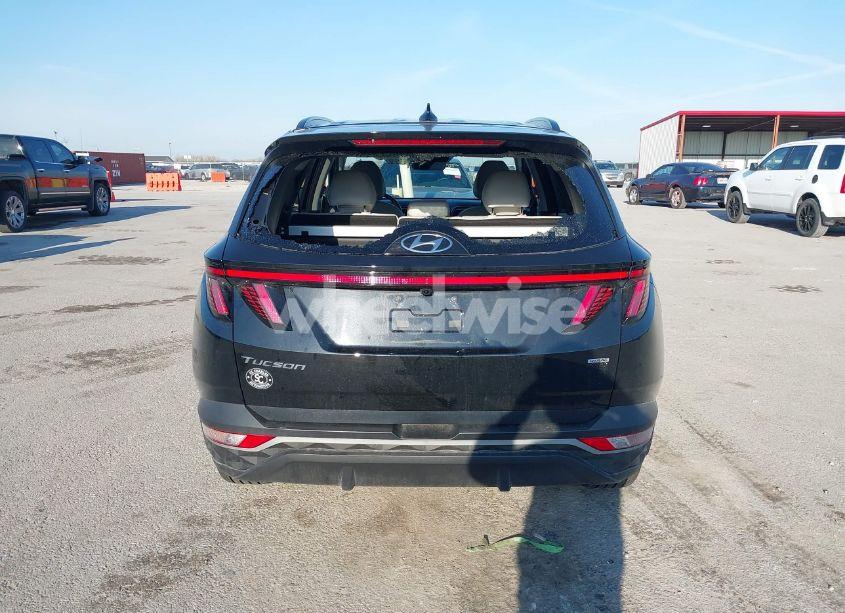 Photo 16 of 2024 Hyundai Tucson SEL (VIN 5NMJFCDE0RH317610)