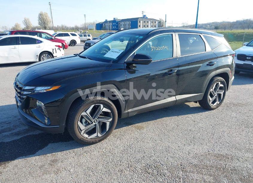 Photo 2 of 2024 Hyundai Tucson SEL (VIN 5NMJFCDE0RH317610)