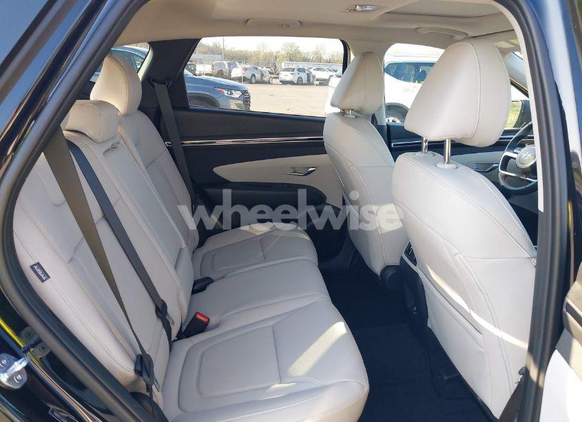 Photo 8 of 2024 Hyundai Tucson SEL (VIN 5NMJFCDE0RH317610)