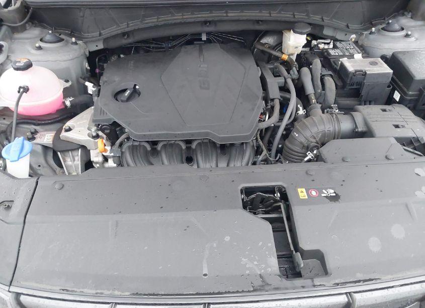 Photo 10 of 2024 Hyundai Tucson SEL (VIN 5NMJFCDE0RH380917)