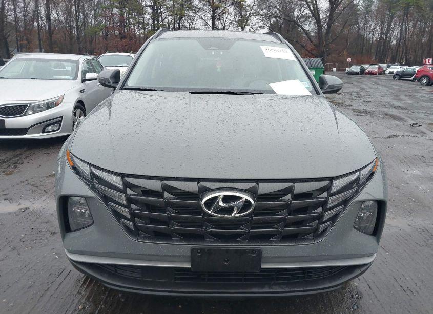 Photo 12 of 2024 Hyundai Tucson SEL (VIN 5NMJFCDE0RH380917)