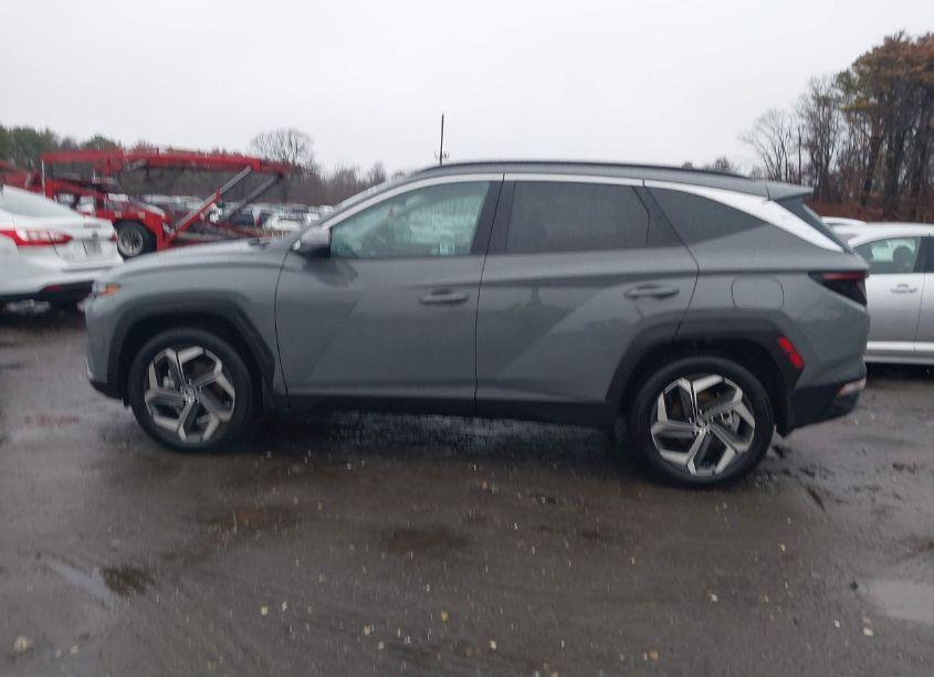 Photo 14 of 2024 Hyundai Tucson SEL (VIN 5NMJFCDE0RH380917)