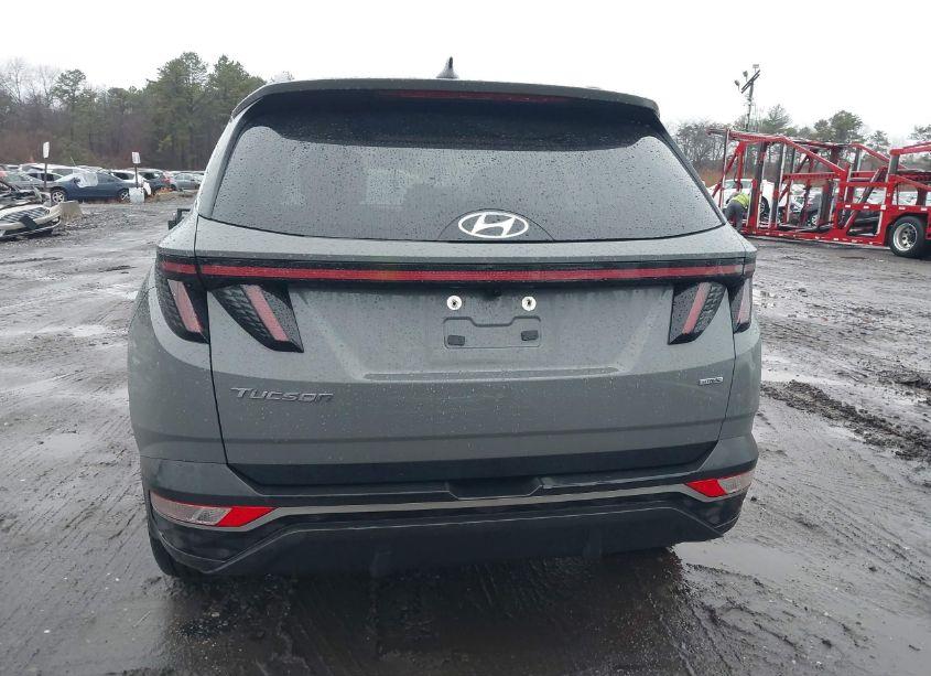 Photo 16 of 2024 Hyundai Tucson SEL (VIN 5NMJFCDE0RH380917)