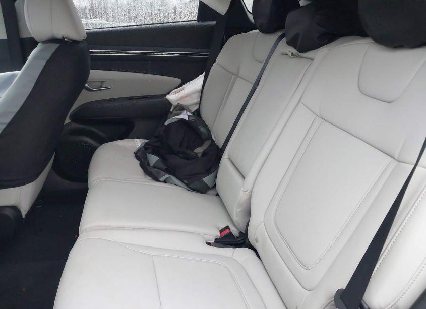 Photo 8 of 2024 Hyundai Tucson SEL (VIN 5NMJFCDE0RH380917)