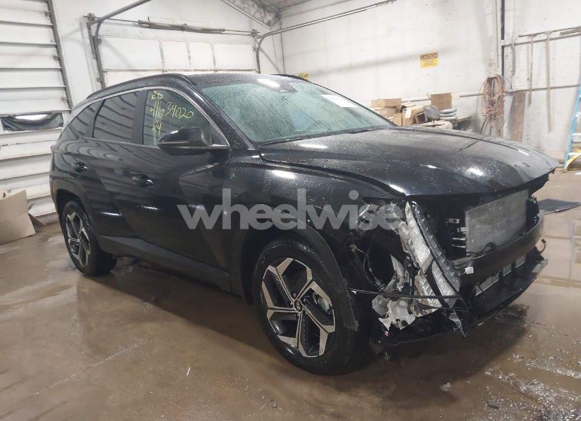 2024 Hyundai Tucson SEL (VIN 5NMJFCDE1RH341284) main photo