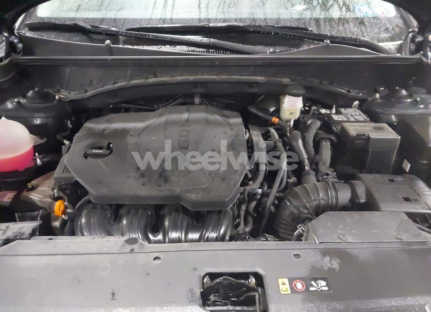 Photo 10 of 2024 Hyundai Tucson SEL (VIN 5NMJFCDE1RH341284)