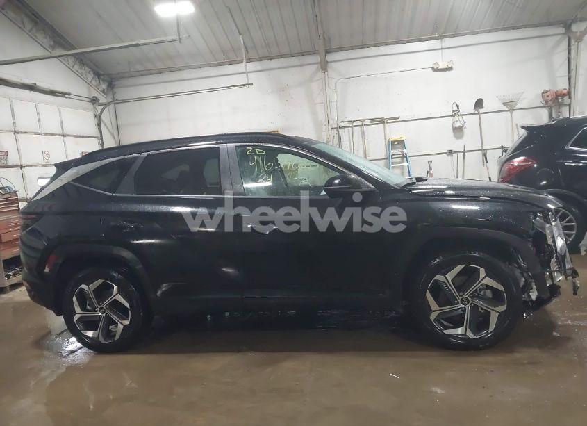 Photo 13 of 2024 Hyundai Tucson SEL (VIN 5NMJFCDE1RH341284)