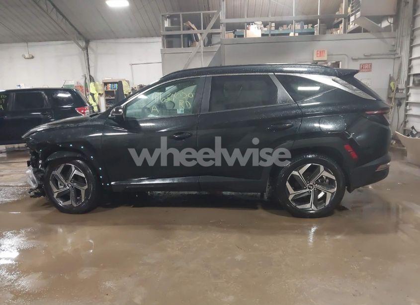 Photo 14 of 2024 Hyundai Tucson SEL (VIN 5NMJFCDE1RH341284)