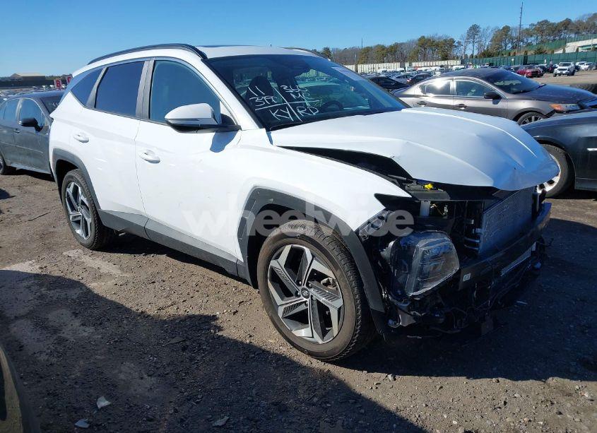 2024 Hyundai Tucson SEL (VIN 5NMJFCDE1RH345559) main photo