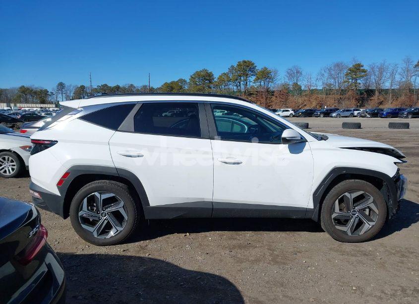 Photo 14 of 2024 Hyundai Tucson SEL (VIN 5NMJFCDE1RH345559)
