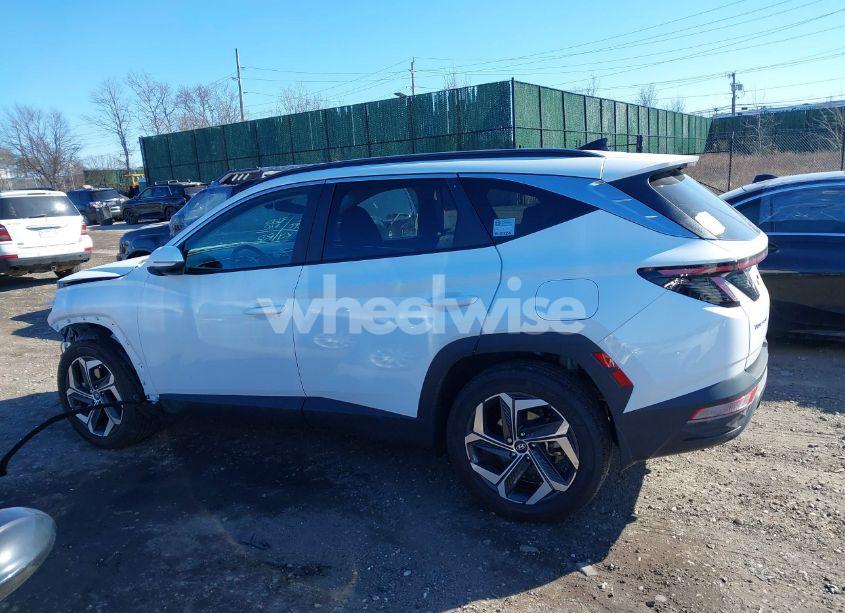 Photo 15 of 2024 Hyundai Tucson SEL (VIN 5NMJFCDE1RH345559)