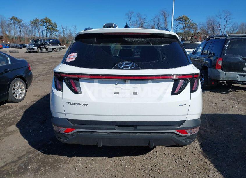 Photo 17 of 2024 Hyundai Tucson SEL (VIN 5NMJFCDE1RH345559)