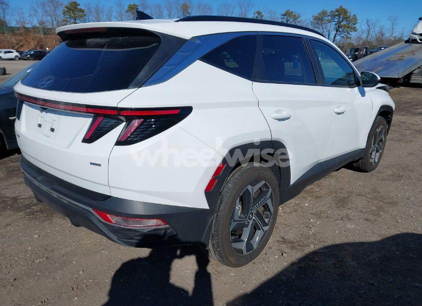 Photo 4 of 2024 Hyundai Tucson SEL (VIN 5NMJFCDE1RH345559)