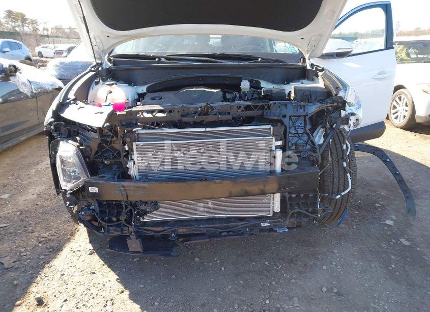 Photo 6 of 2024 Hyundai Tucson SEL (VIN 5NMJFCDE1RH345559)