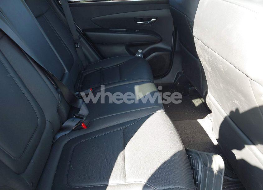 Photo 8 of 2024 Hyundai Tucson SEL (VIN 5NMJFCDE1RH345559)