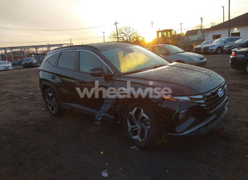 2024 Hyundai Tucson SEL (VIN 5NMJFCDE4RH358449) main photo